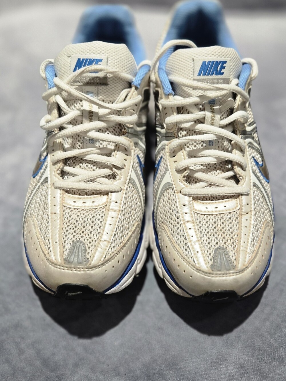 classic Nike Pegasus 25, a vintage early-2000s running shoe